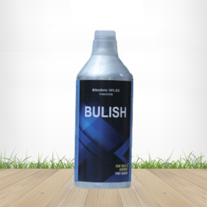 Bulish