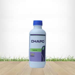 Chapo
