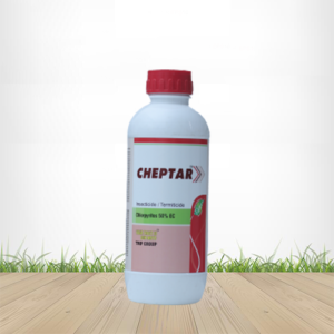 Cheptar