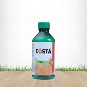 Costa