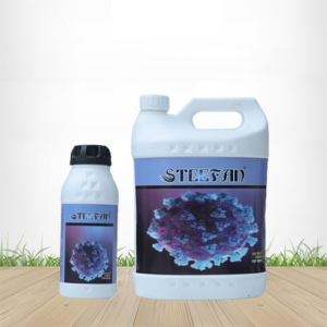 Steefan