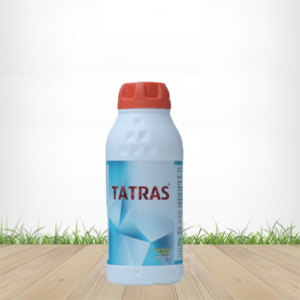 Tatras