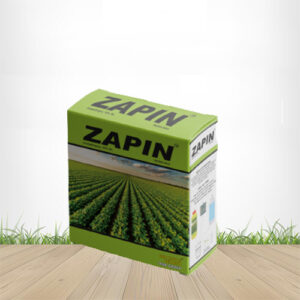 Zapin
