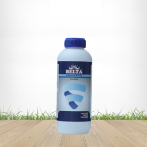 Belta