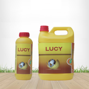 Lucy