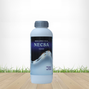 Necsa