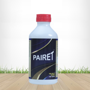 Pairet