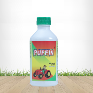 Puffin