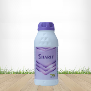 Sharif