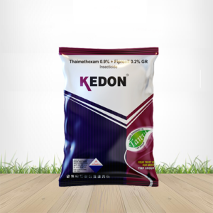 Kedon