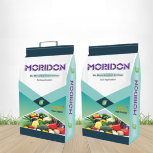 Moridon