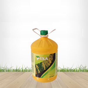 Pixa
