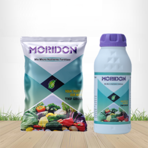 Moridon